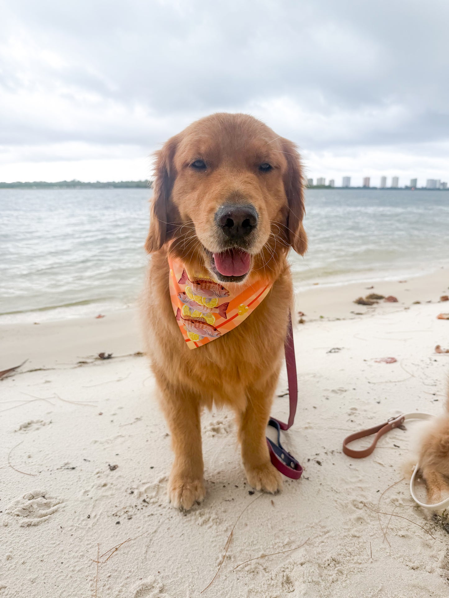 Snapper and Lemons  Bandana