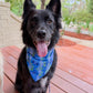 Lupines & Dragonflies Bandana