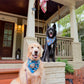 Summer at the Shore Bandana