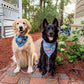Summer at the Shore Bandana