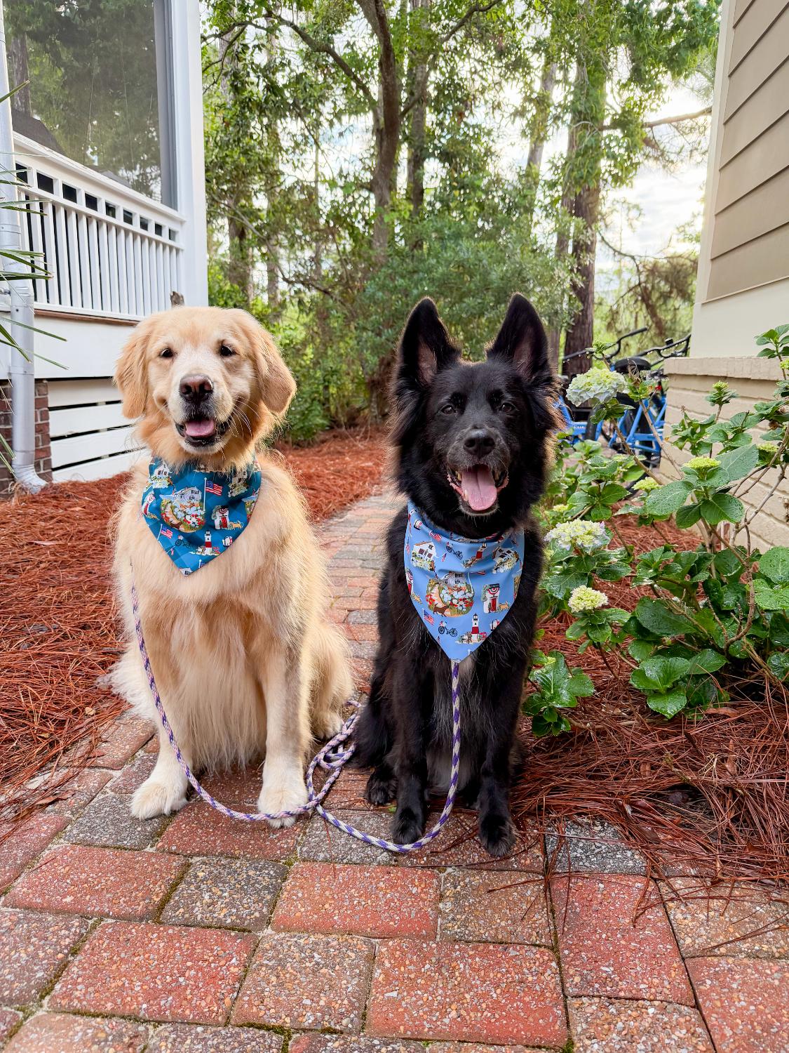 Summer at the Shore Bandana