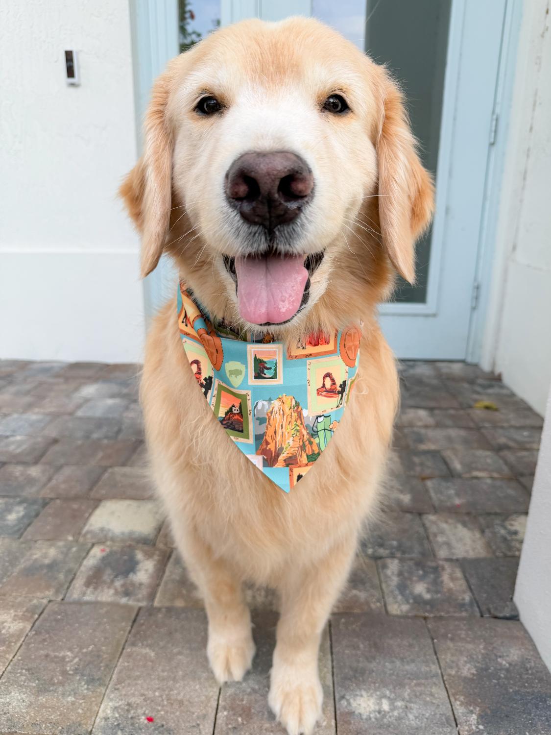 Park Views Bandana