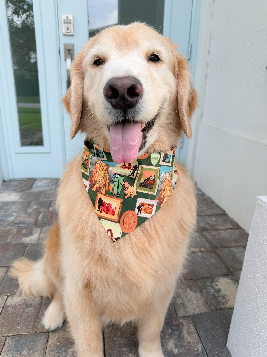 Park Views Bandana