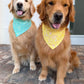 Beach Day Accoutrements Bandana