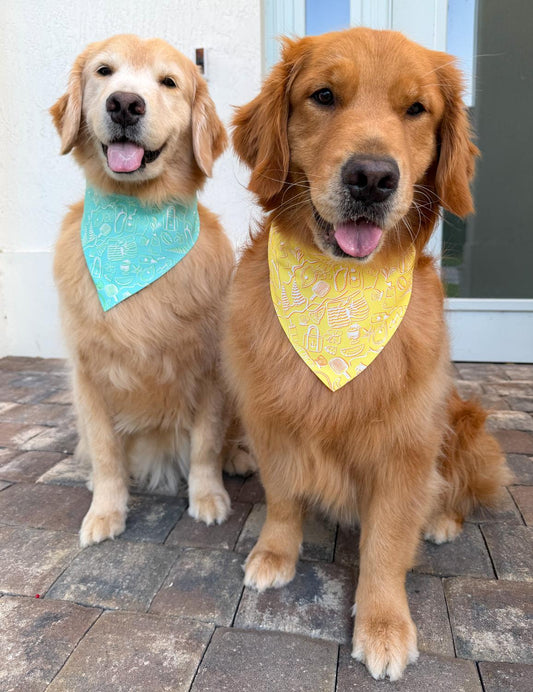 Beach Day Accoutrements Bandana
