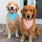 Beach Day Accoutrements Bandana