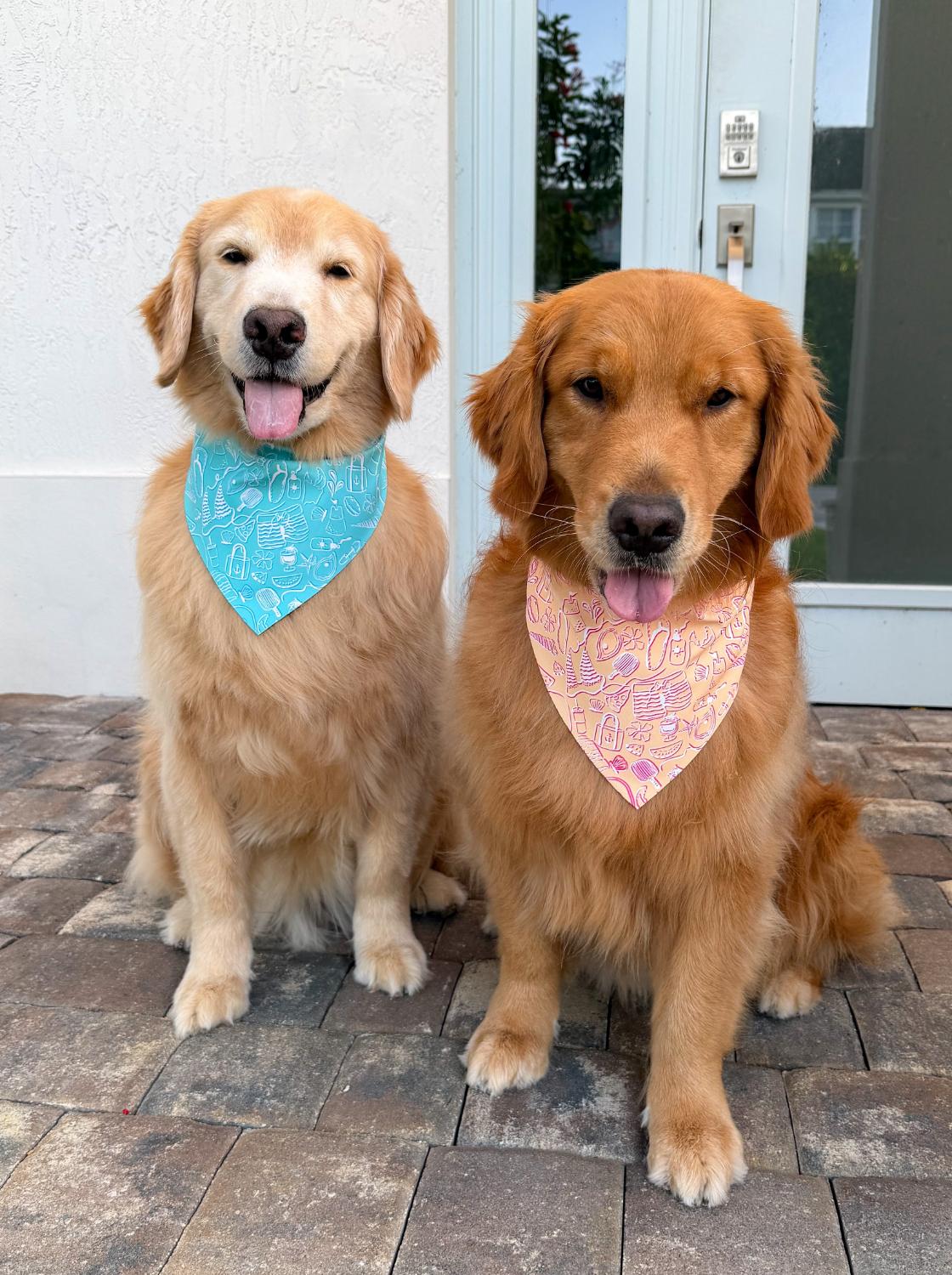 Beach Day Accoutrements Bandana