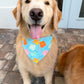 Smiling Stingrays Bandana