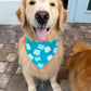 Smiling Stingrays Bandana