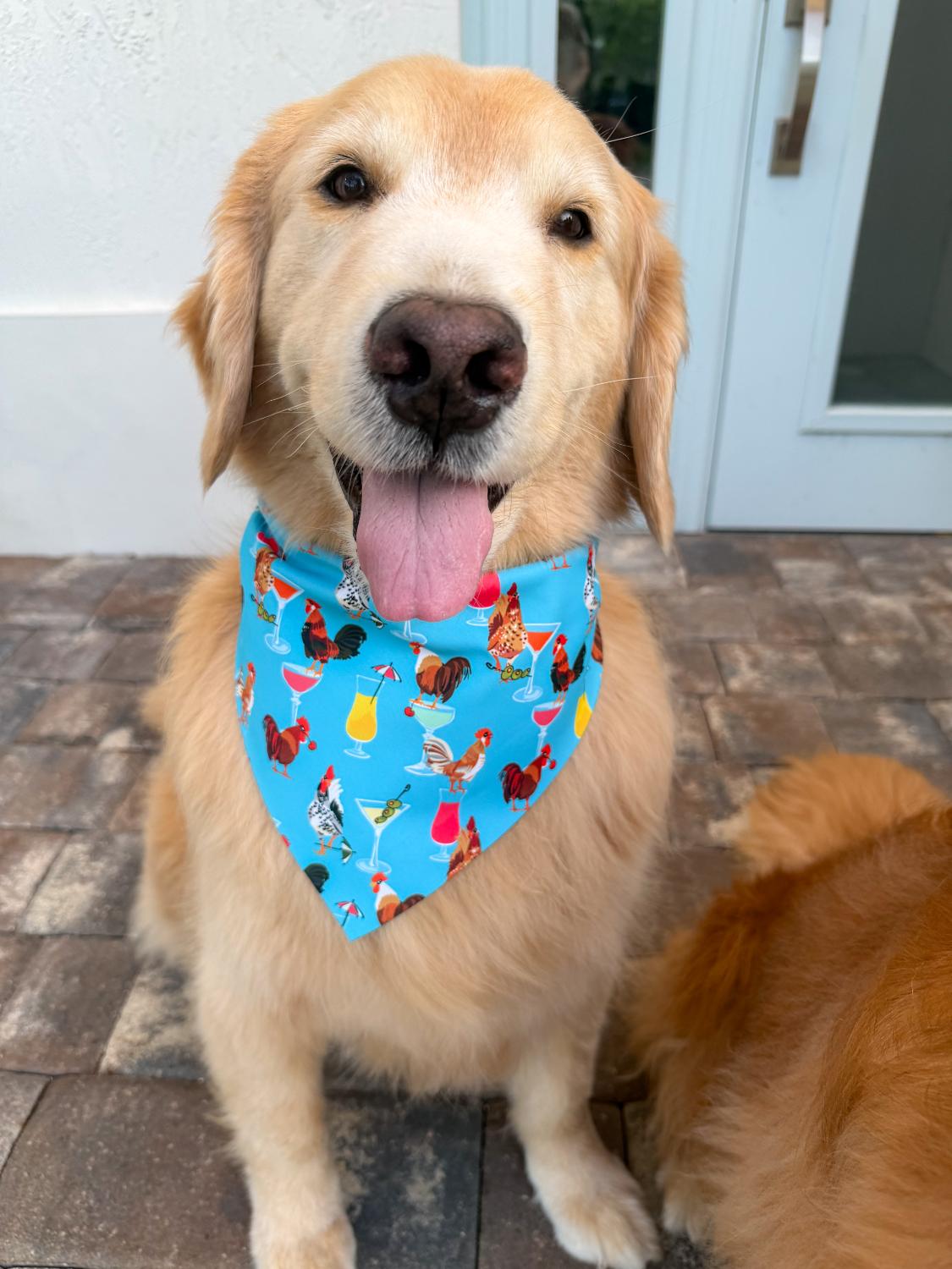 Cocktail-a-doodle-do Bandana