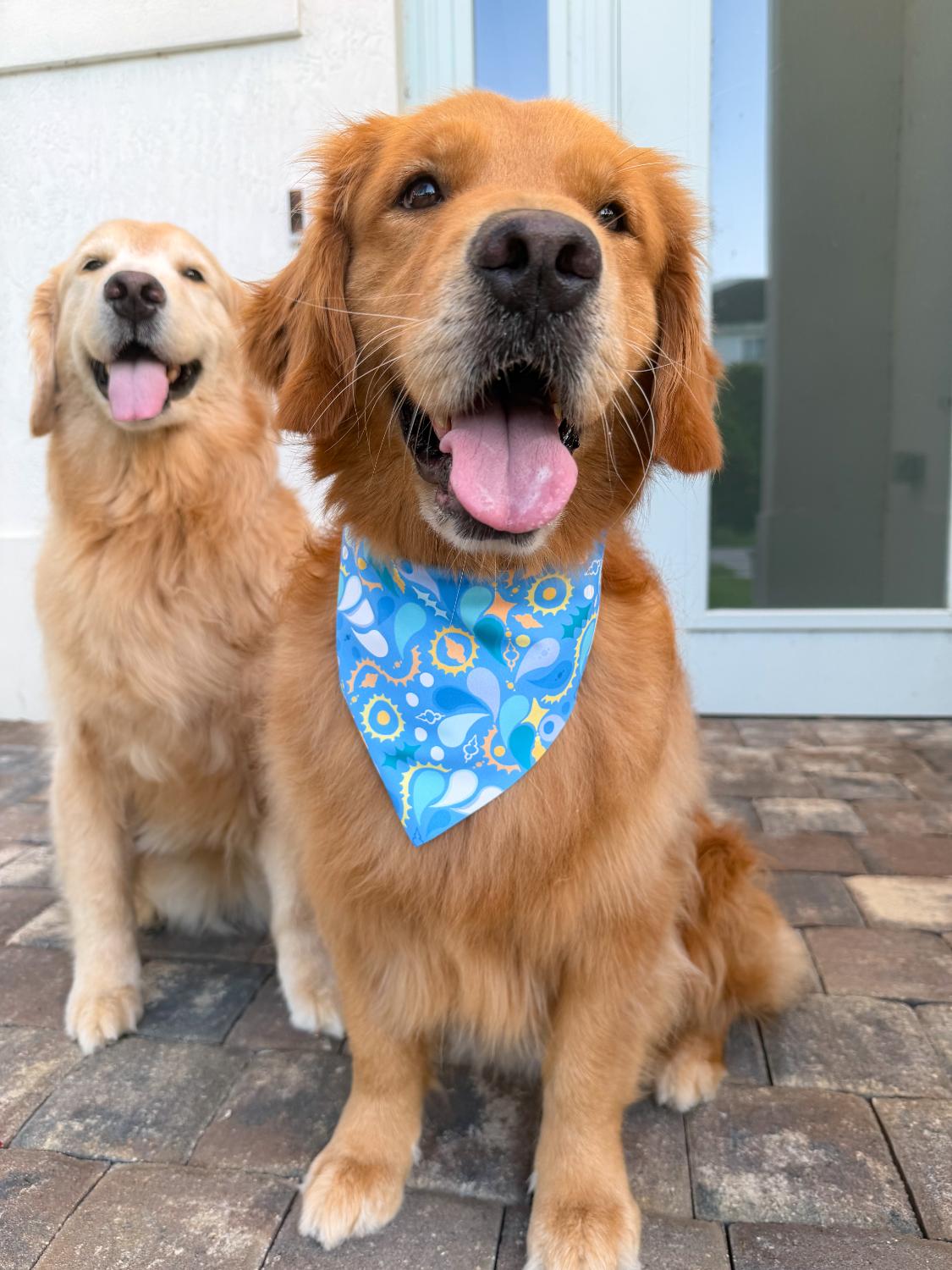 Paisley Skies Bandana