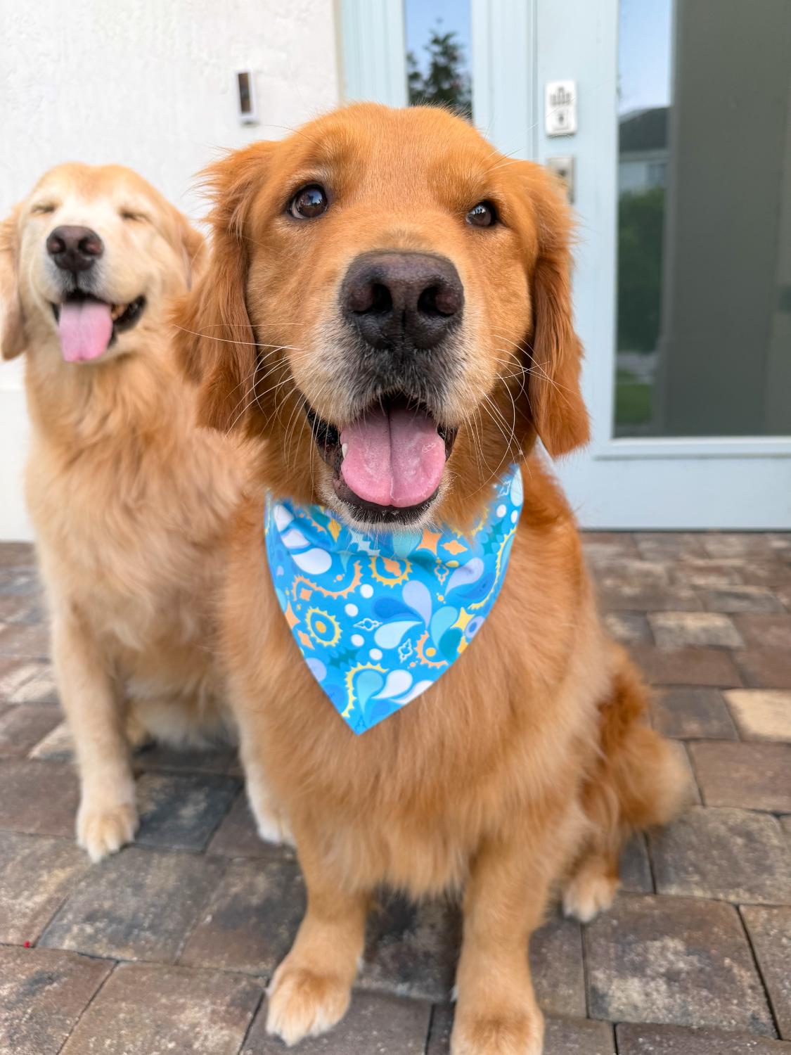 Paisley Skies Bandana