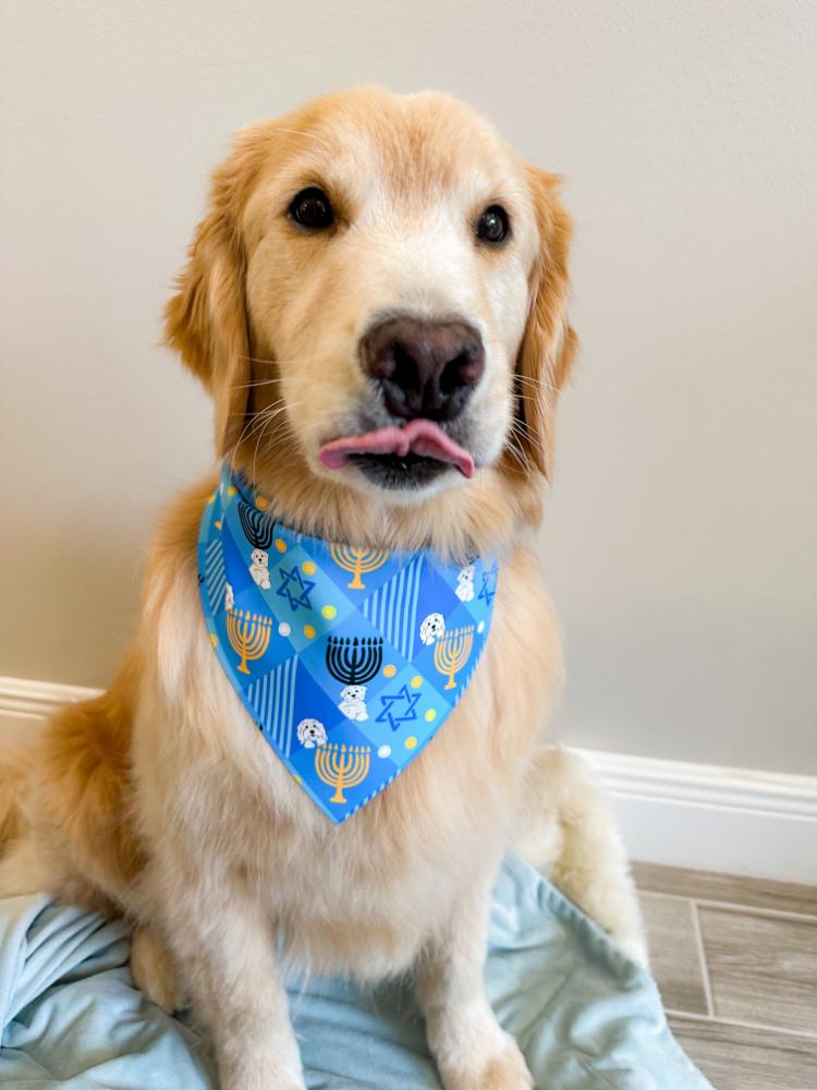 Hanukkah Gingham