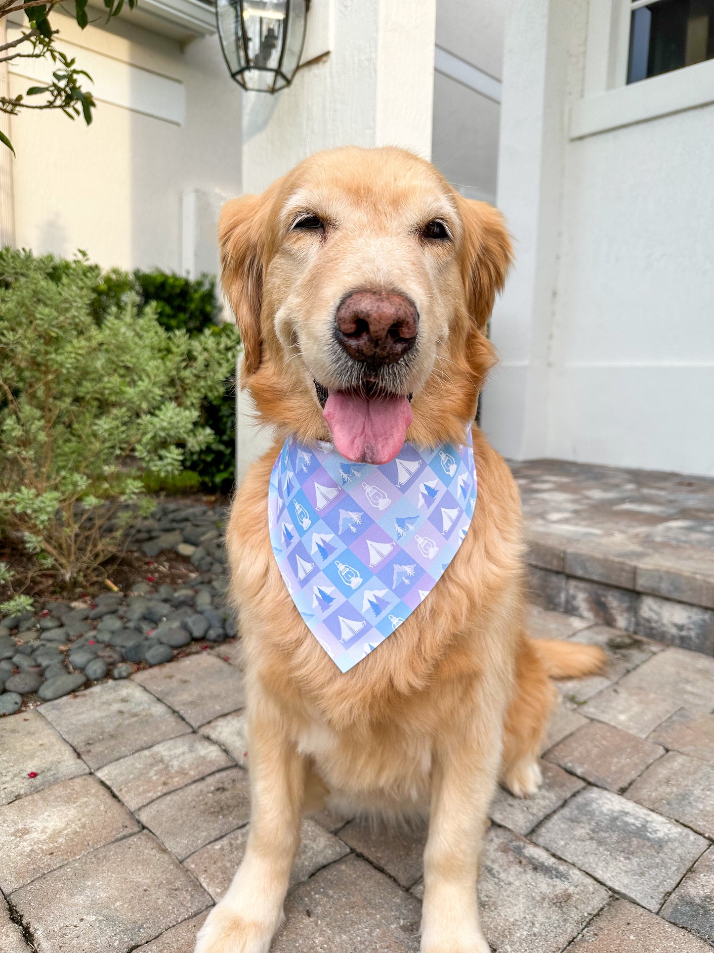 Camping Gingham Bandana