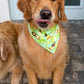 Key West Vibes Bandana