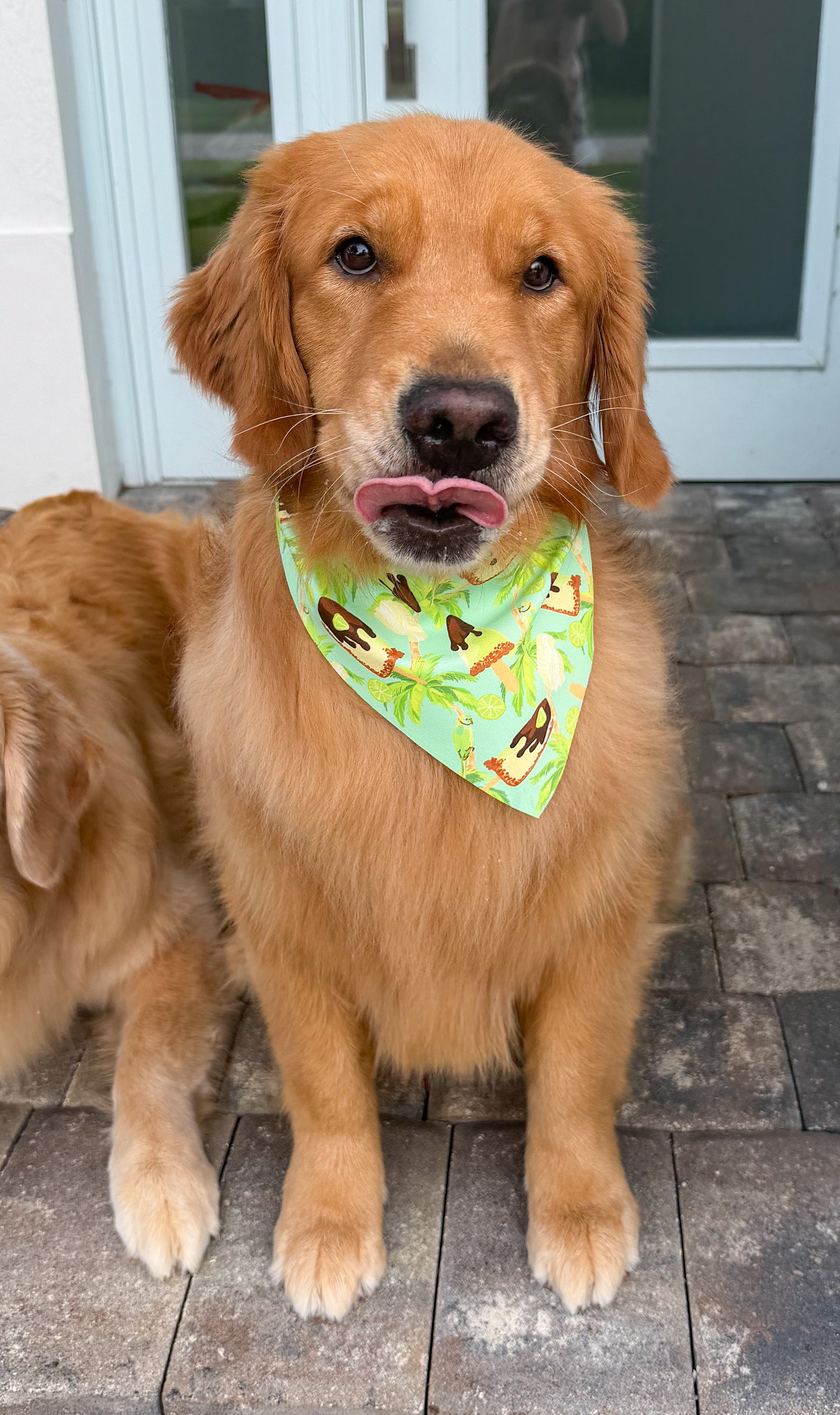 Key West Vibes Bandana
