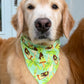Key West Vibes Bandana