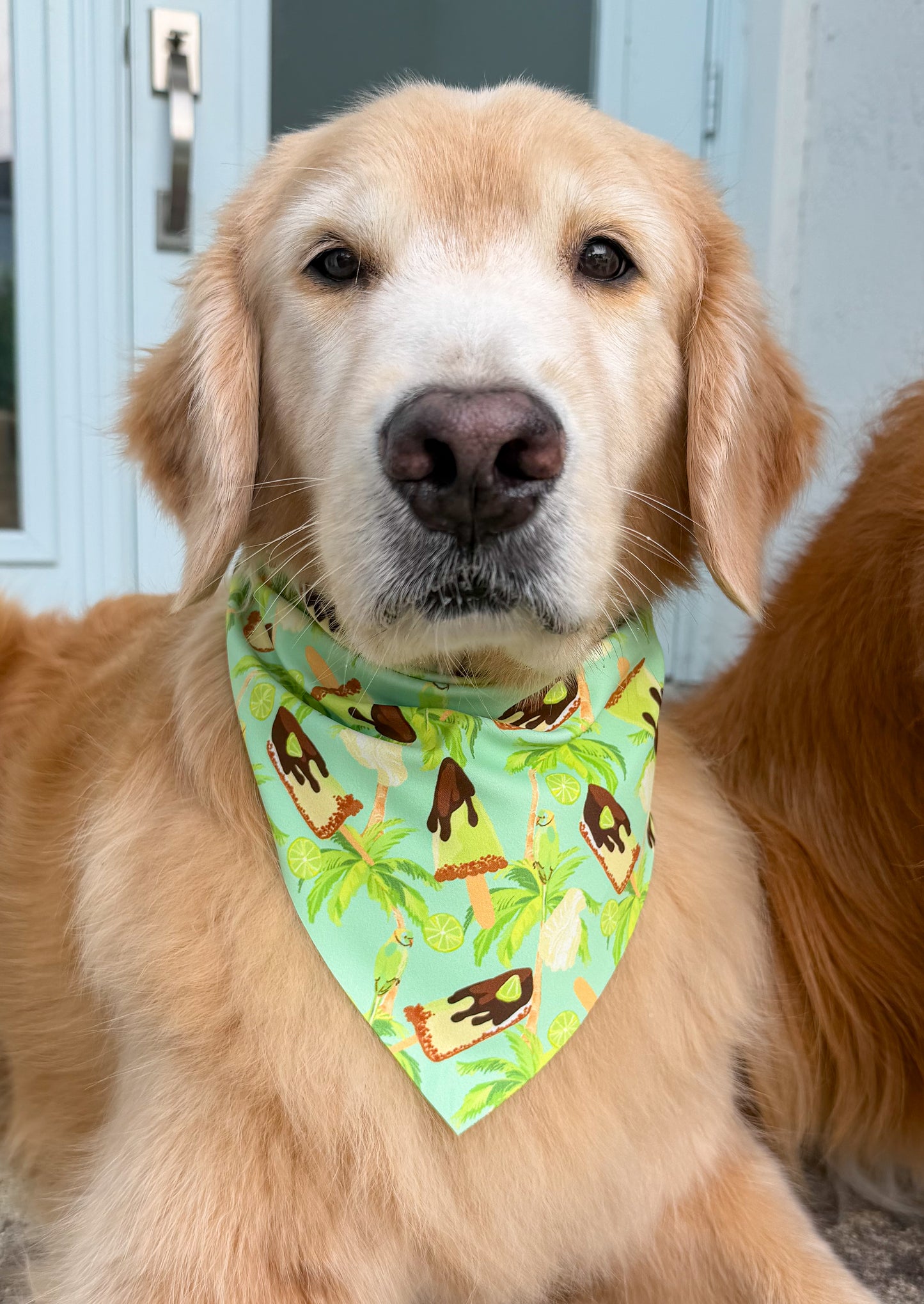 Key West Vibes Bandana