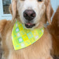 Key West Vibes Bandana