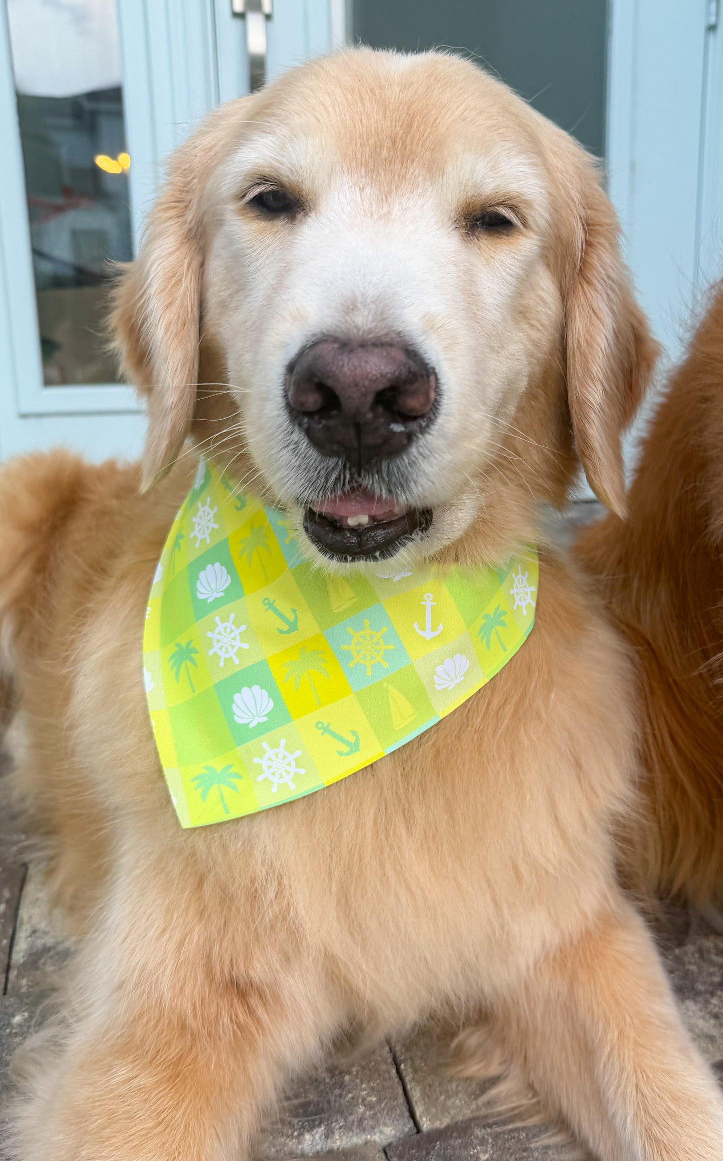 Key West Vibes Bandana