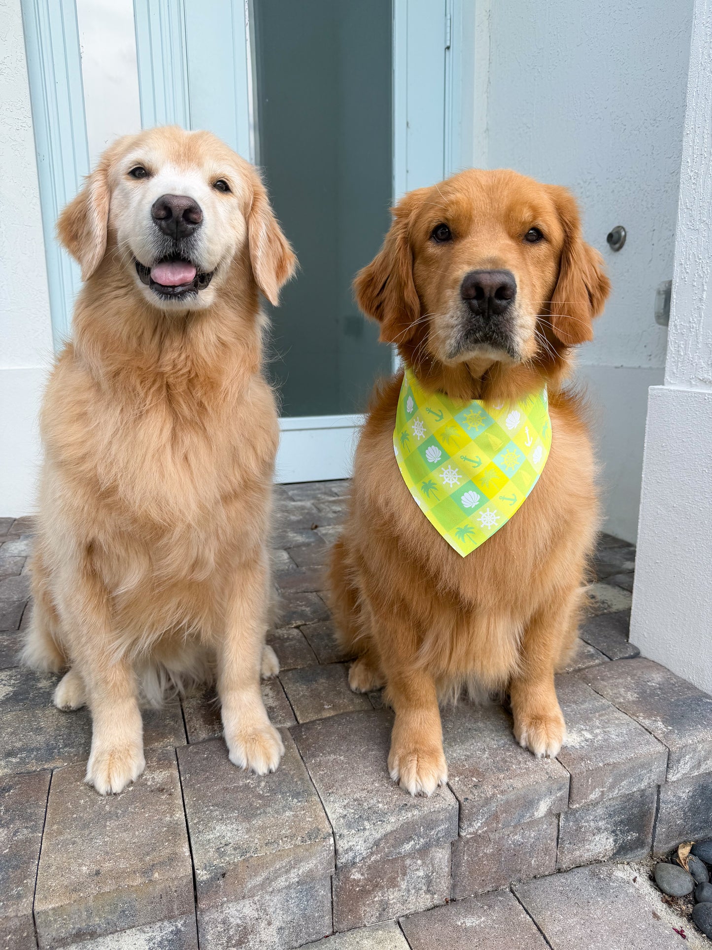 Key West Vibes Bandana