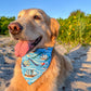 Pirate Ships Bandana