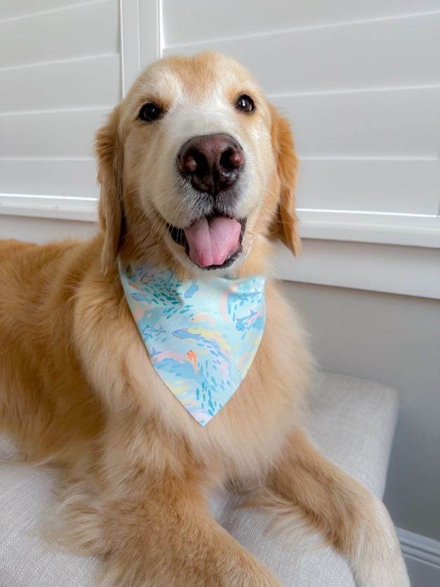 Pastel Fish Bandana