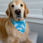 Pastel Fish Bandana