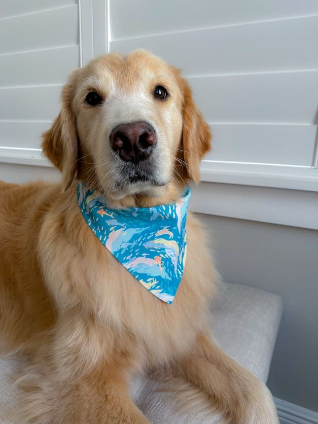 Pastel Fish Bandana