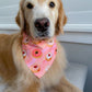 Valentines Donuts Bandana