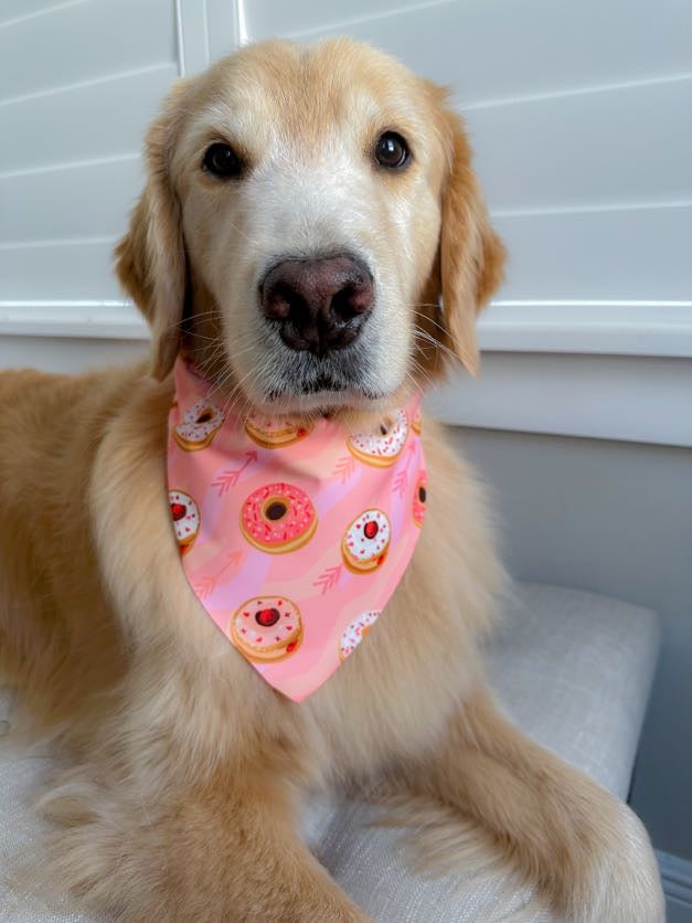 Valentines Donuts Bandana