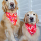 Valentines Donuts Bandana