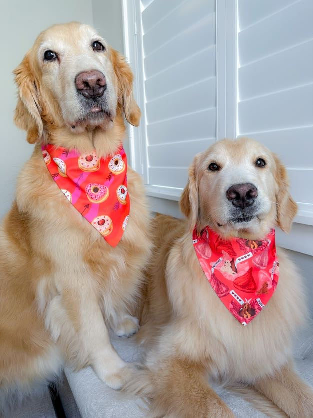 Valentines Donuts Bandana