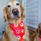 Valentines Donuts Bandana