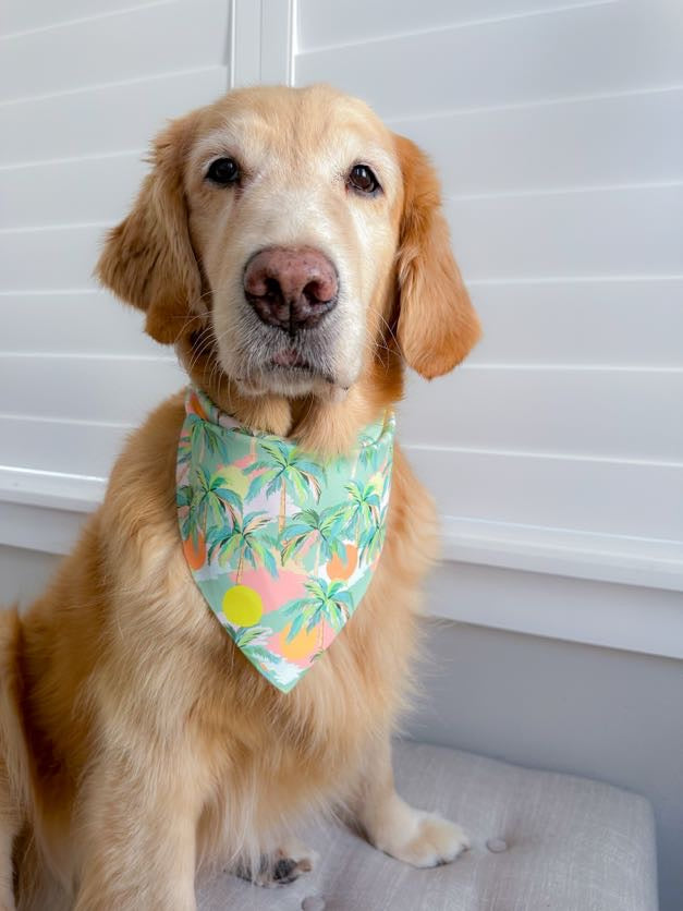 Palm Tree Suns Bandana