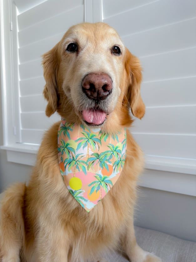 Palm Tree Suns Bandana