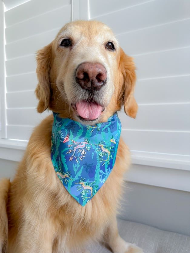 Sea Dragons Bandana