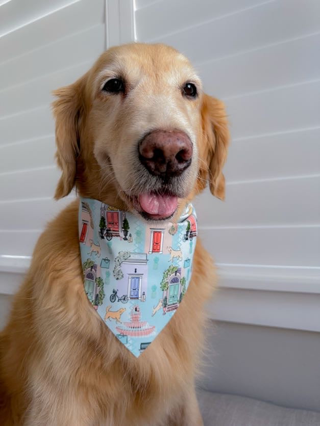 Charleston Vibes Bandana