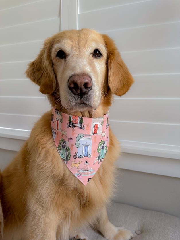 Charleston Vibes Bandana