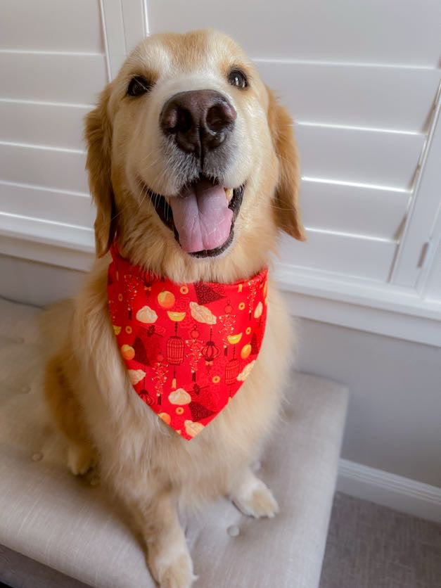 Lunar New Year Bandana