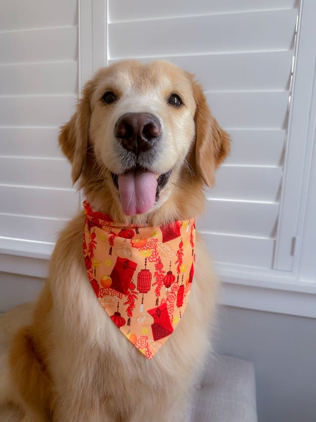 Lunar New Year Bandana