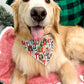 Puppy Presents / Kramping My Holiday Bandana