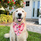 Dragon Fruit Bandana