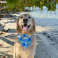 Happiness Passport Bandana