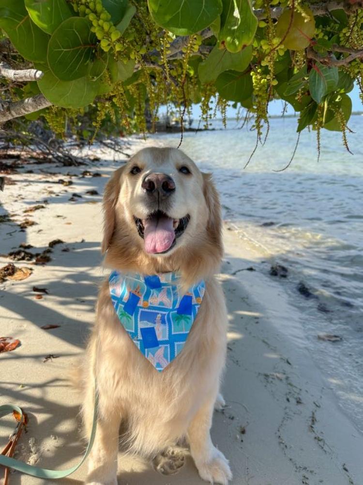 Happiness Passport Bandana
