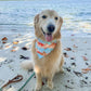 Sandcastle Crabs Bandana