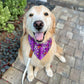 Ric Rac Floral Butterflies Bandana