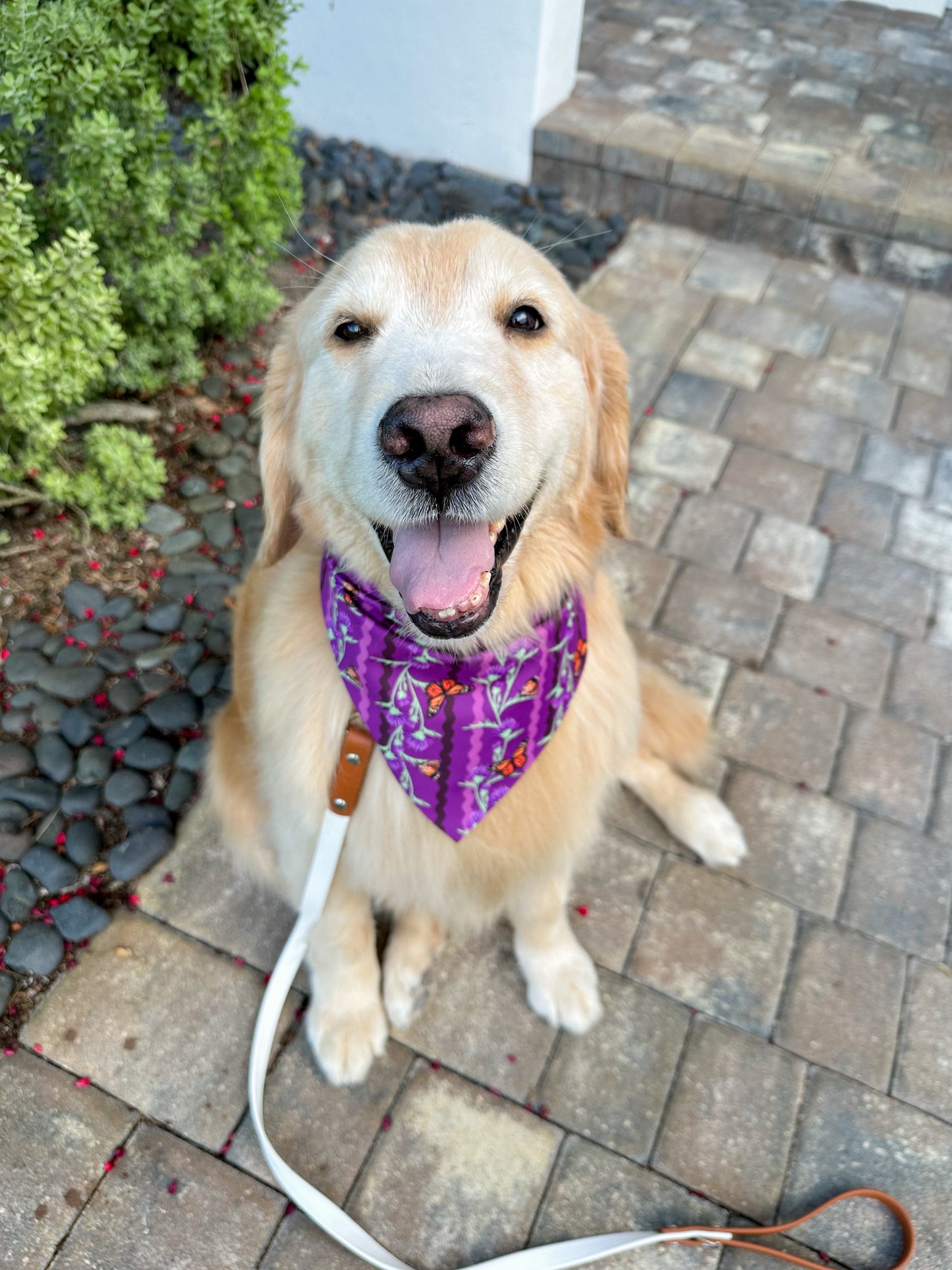 Ric Rac Floral Butterflies Bandana