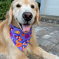 Clown Fish Trick or Treat Bandana
