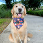 Bonfire S’mores Bandana